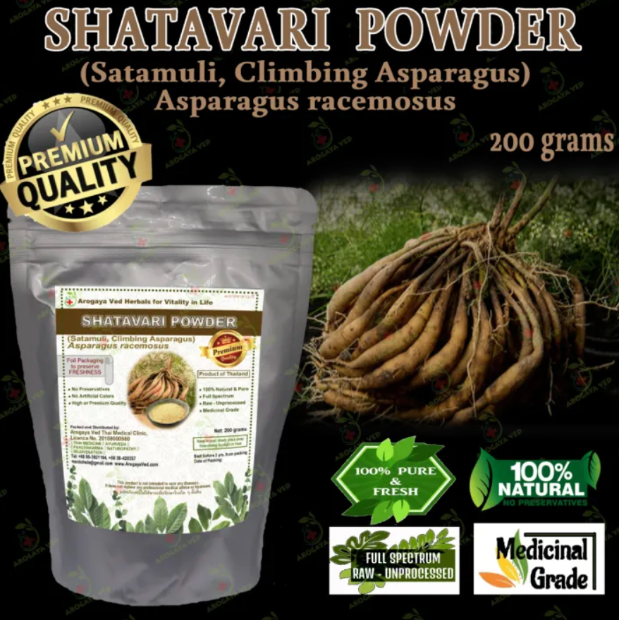 Shatavari Powder - Satavari, Satavare, Satavirya, Shatapadi, Satamuli, Climbing Asparagus Asparagus racemosus - 200 gram