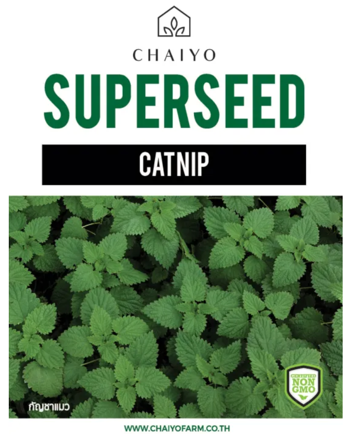 Chaiyo Superseed - Catnip (550 seeds)