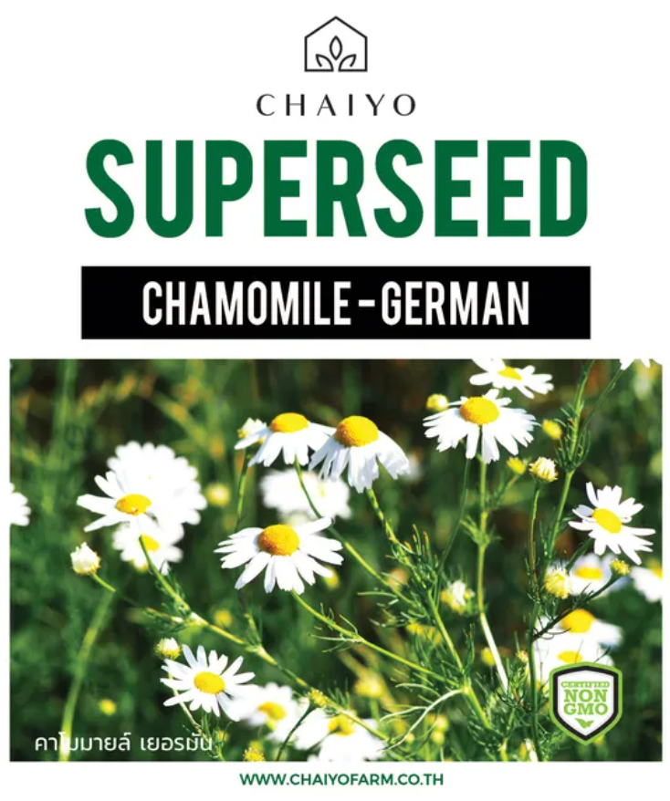 Chaiyo Superseed - Chamomile - German (600 seeds)