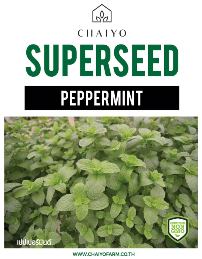 Chaiyo Superseed - Peppermint seeds (40 seeds)