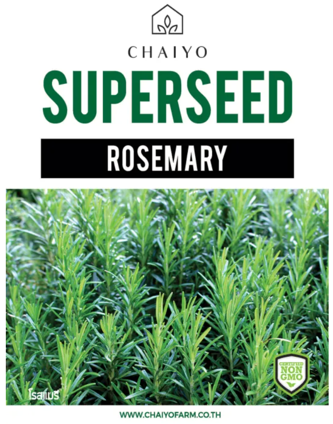 Chaiyo Superseed - Rosemary (10 seeds)