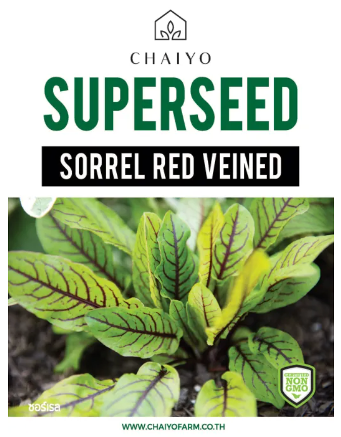 Chaiyo Superseed - Sorrel Red Veined (130 seeds)