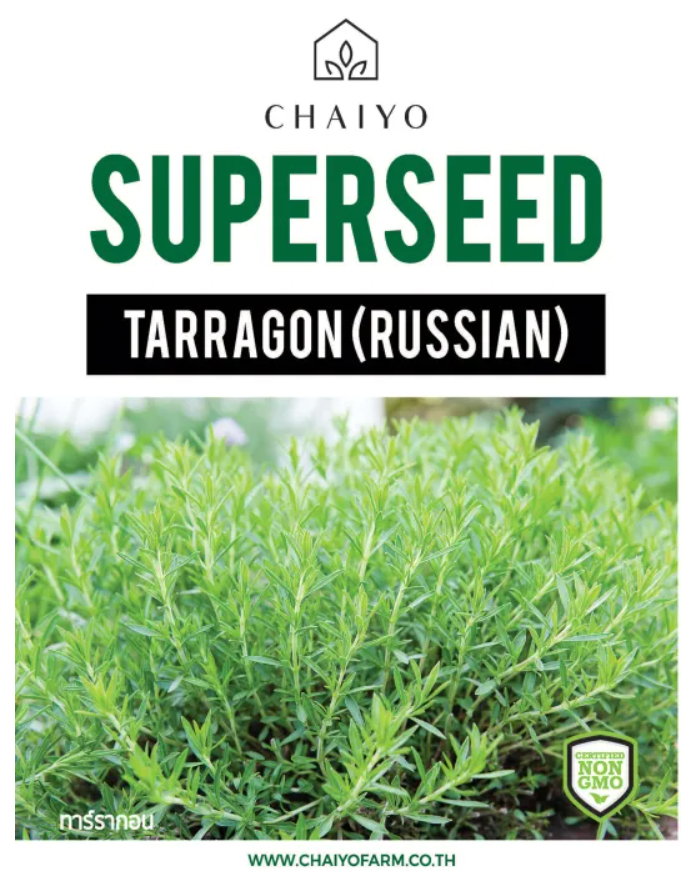 Chaiyo Superseed - Tarragon (Russian) (320 seeds)