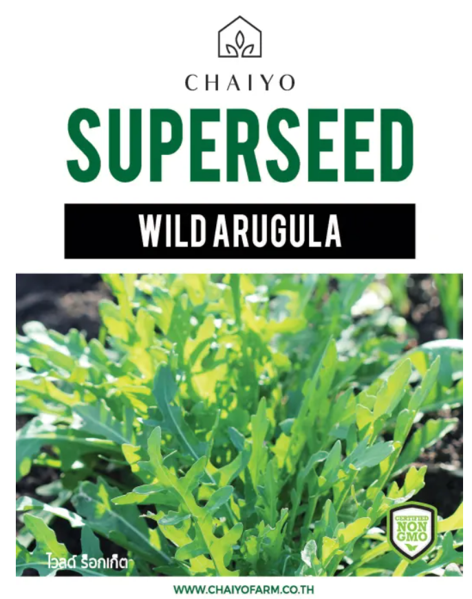 Chaiyo Superseed - Wild Arugula seed (850 seeds)