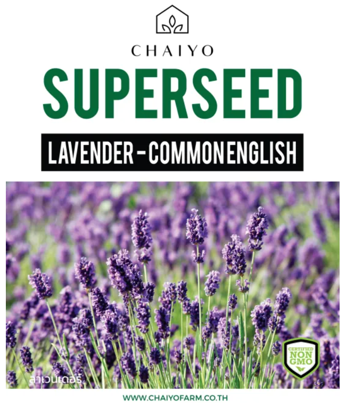 Chaiyo Superseed – Lavender - Commonenglish