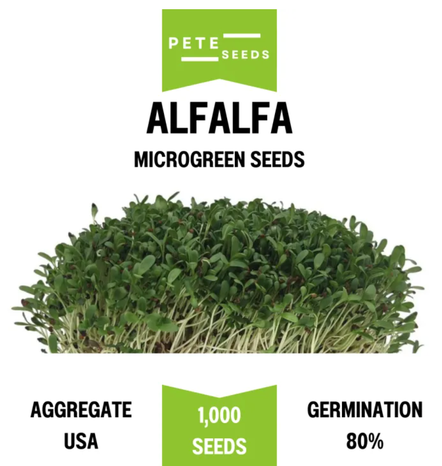 Pete Seeds - Alfalfa - Microgreen Seeds - 1000 Seeds