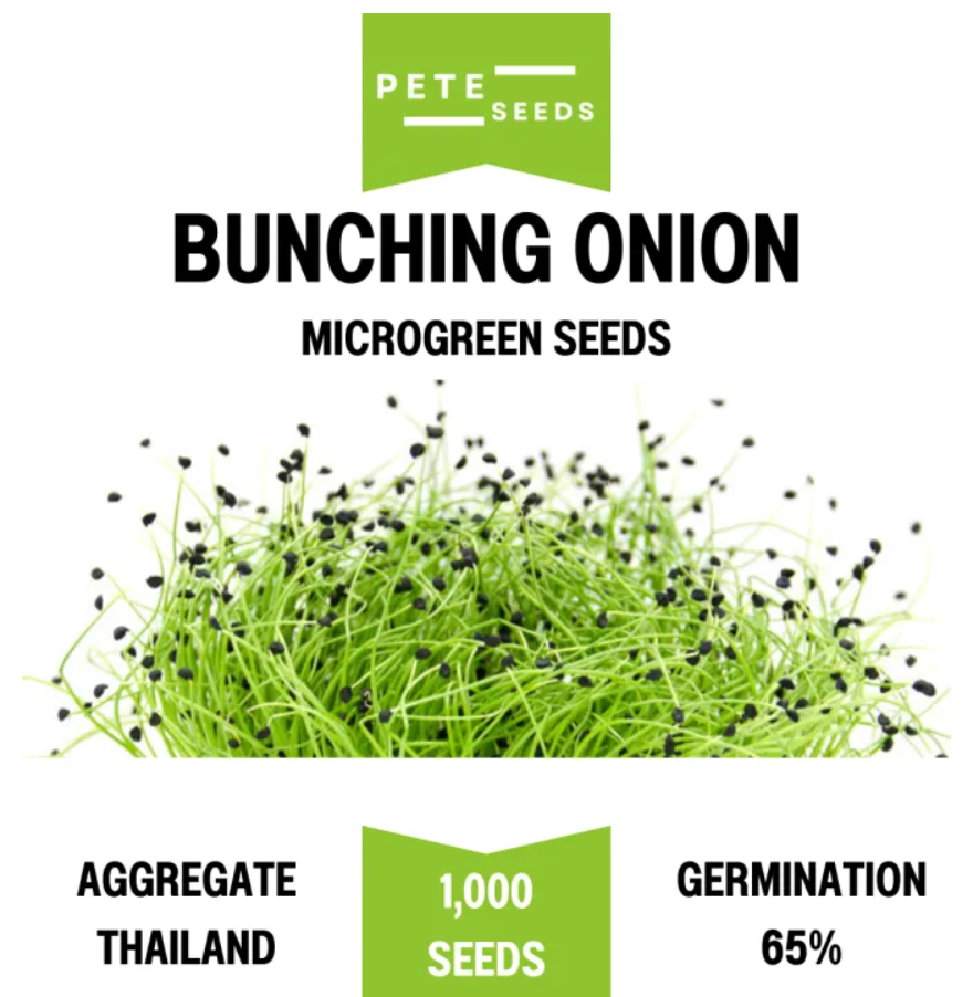 Pete Seeds - Bunching Onion - Microgreen Seeds - 1000 Seeds