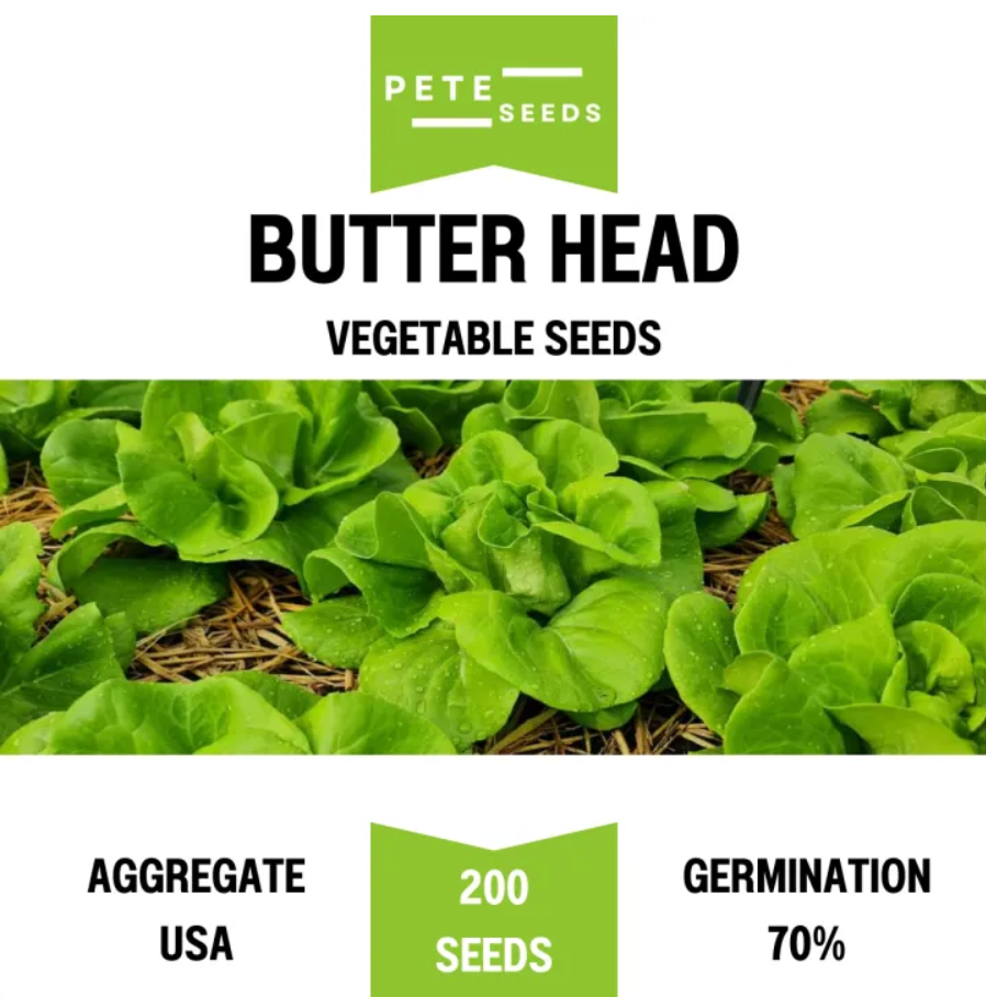 Pete Seeds - Butter Head - Vegetable Seeds - 200 Seeds