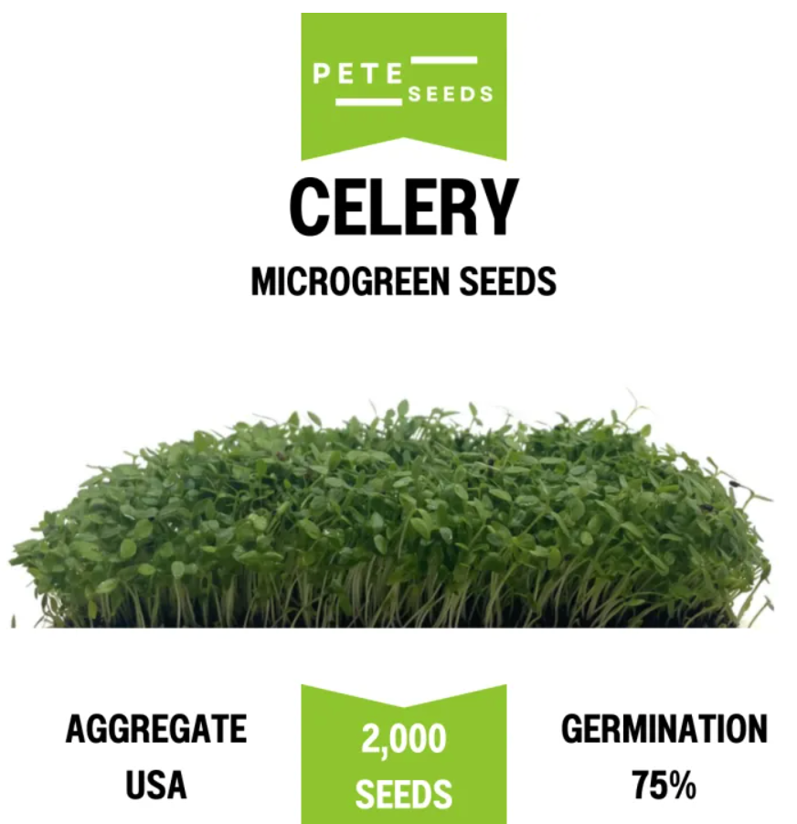 Pete Seeds - Celery - Microgreen Seeds - 2000 Seeds