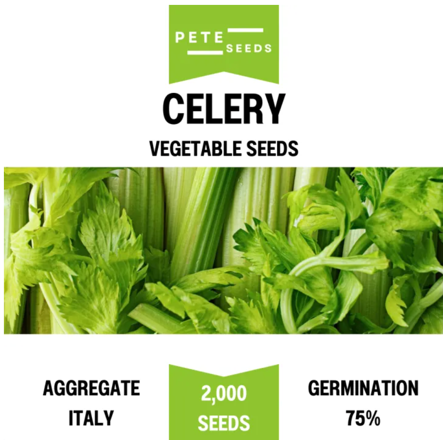 Pete Seeds - Celery - Vegetable Seeds - 2000 Seeds
