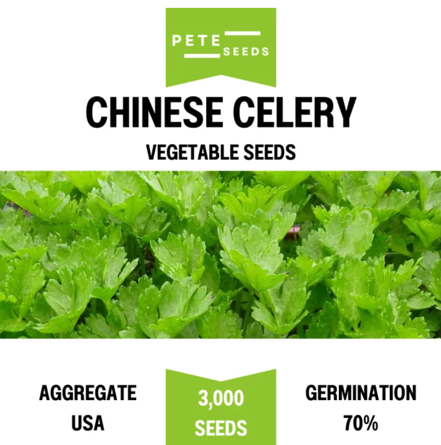 Pete Seeds - Chinese Celery - Vegetable Seeds - 3000 Seeds