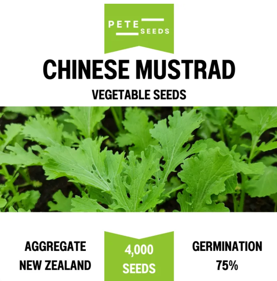 Pete Seeds - Chinese Mustard - Vegetable Seeds - 4000 Seeds