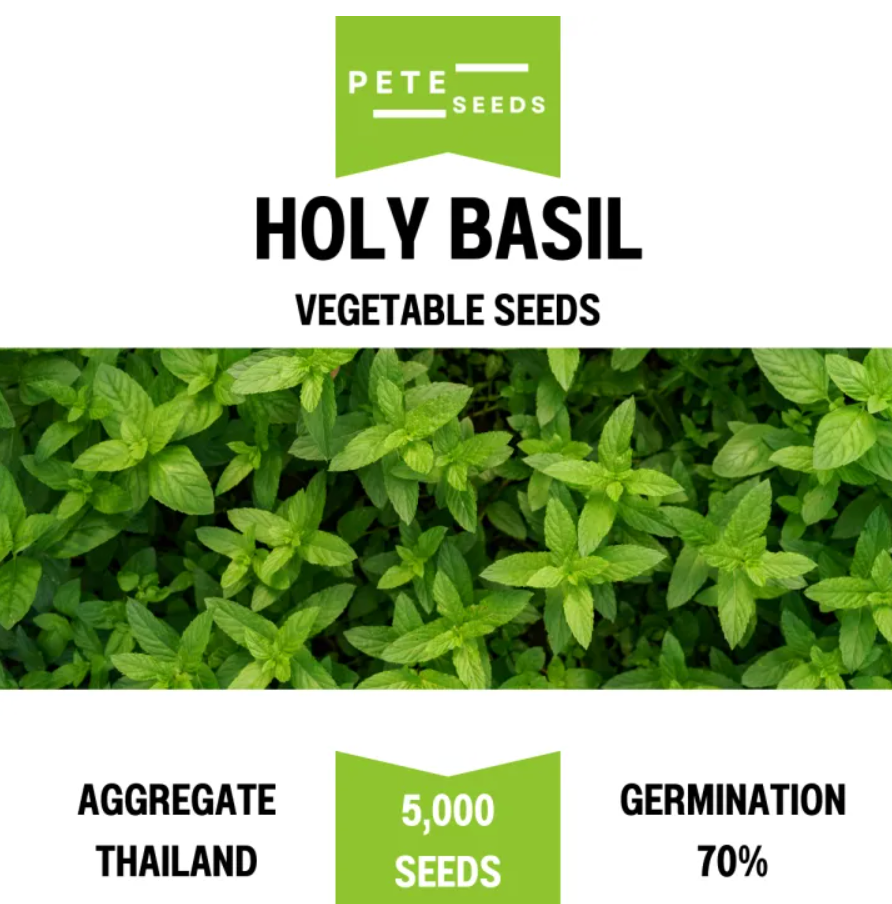 Pete Seeds - Holy Basil - Vegetable Seeds - 5000 Seeds