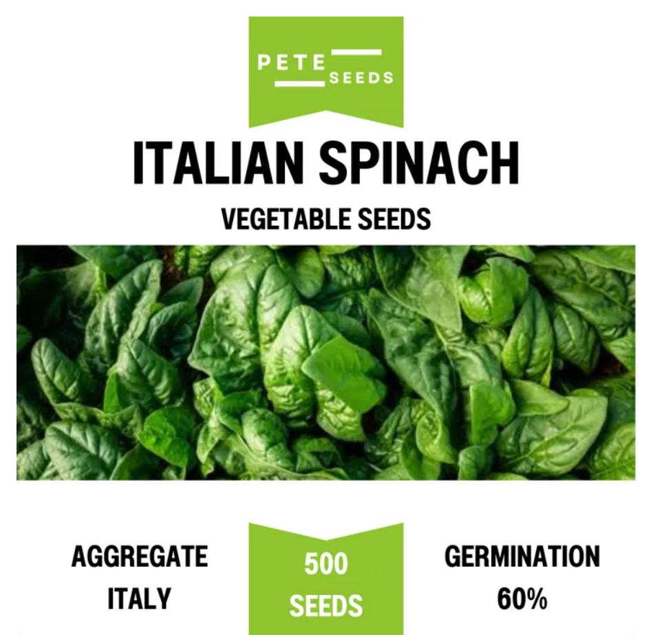 Pete Seeds - Italian Spinach - Vegetable Seeds - 500 Seeds