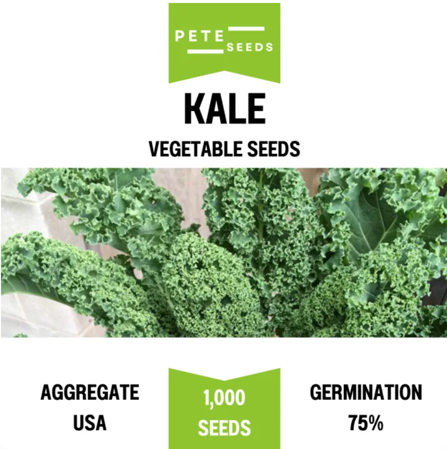 Pete Seeds - Kale - Vegetable Seeds - 1000 Seeds