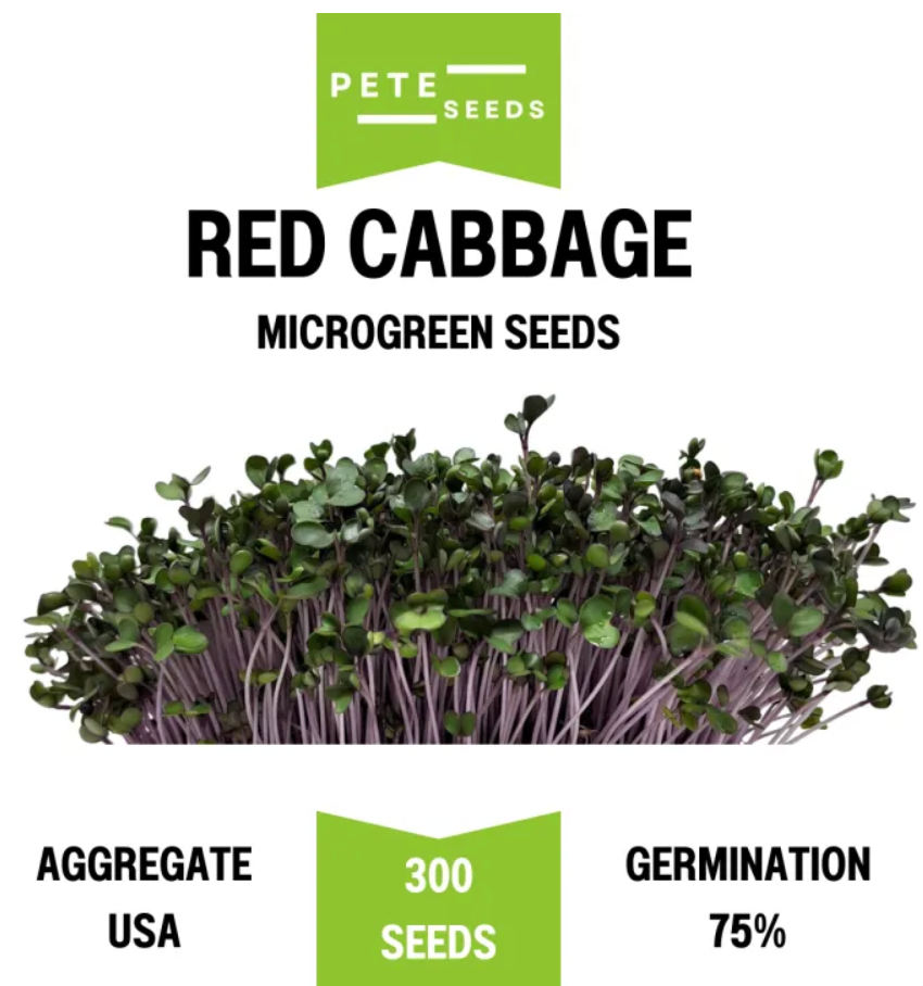 Pete Seeds - Red Cabbage - Microgreen Seeds - 300 Seeds