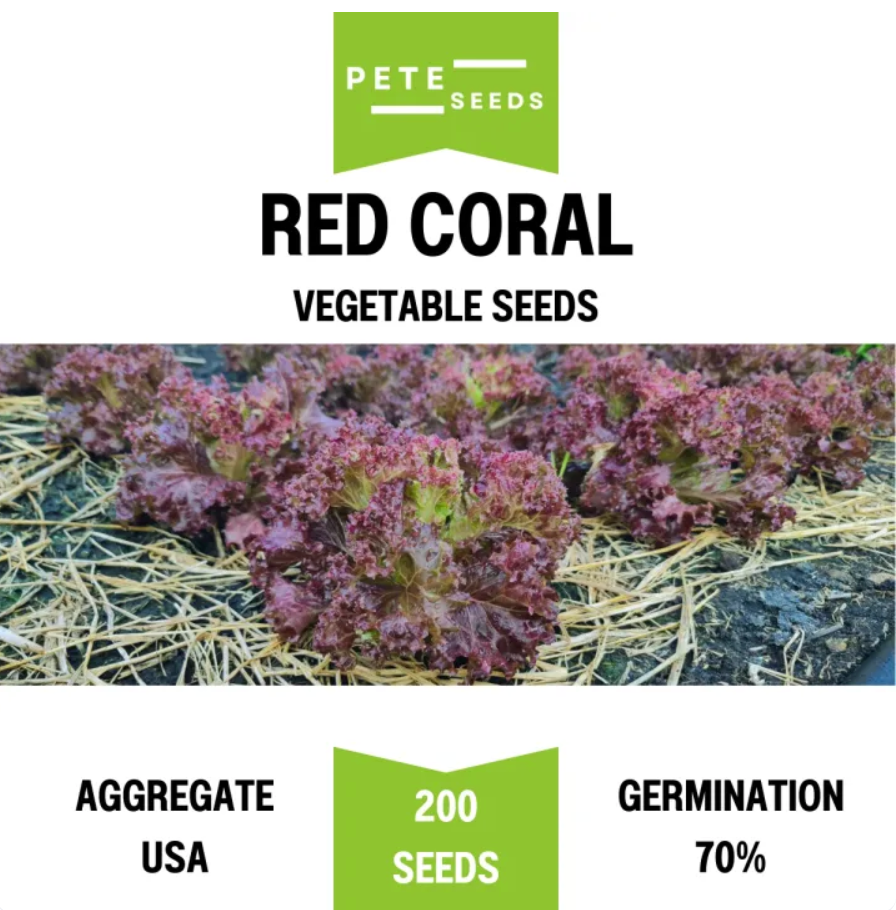 Pete Seeds - Red Coral - Vegetable Seeds - 200 Seeds