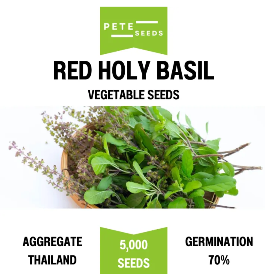 Pete Seeds - Red Holy Basil - Vegetable Seeds - 5000 Seeds