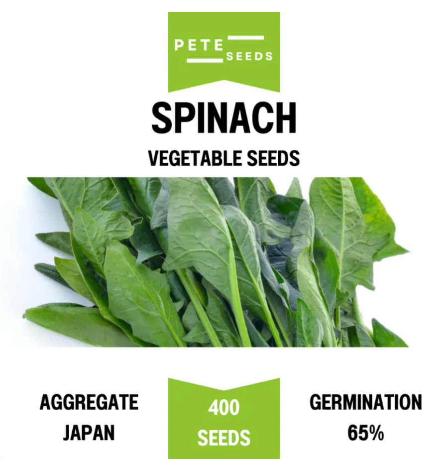 Pete Seeds - Spinach - Vegetable Seeds - 400 Seeds