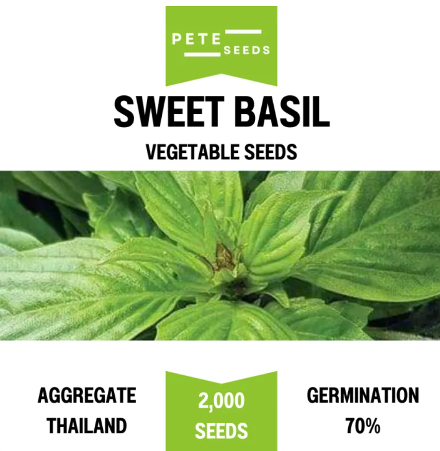 Pete Seeds - Sweet Basil - Vegetable Seeds - 2000 Seeds